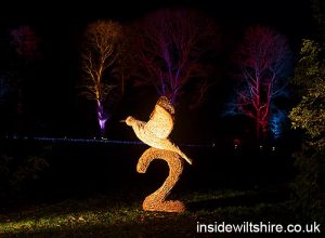 Stourhead-lights-2019-IMG_7978 | Insidewiltshire